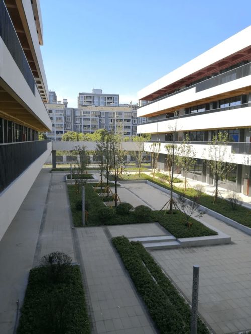 嘉興新校園科技賦能，智慧建設引領教育新風尚