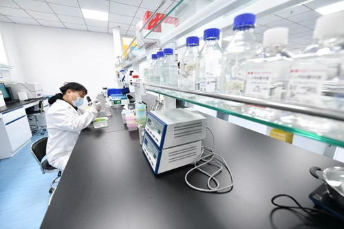 北京亦莊生物醫(yī)藥園企業(yè)全力以“復(fù)”，技術(shù)開(kāi)發(fā)驅(qū)動(dòng)產(chǎn)業(yè)新活力